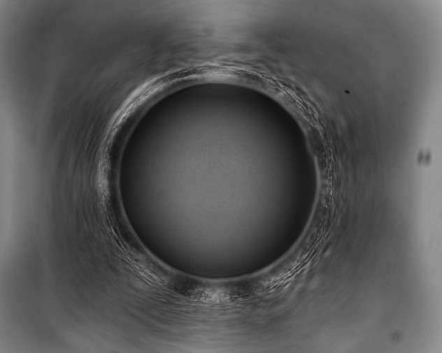 X0000101160295200806271016