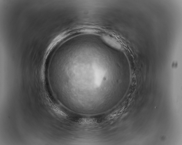 X0000101160296200806271016