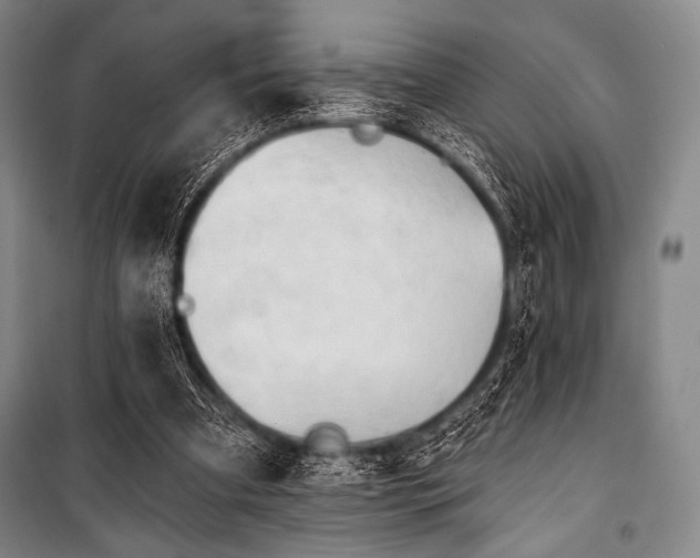 X0000101160297200806271016