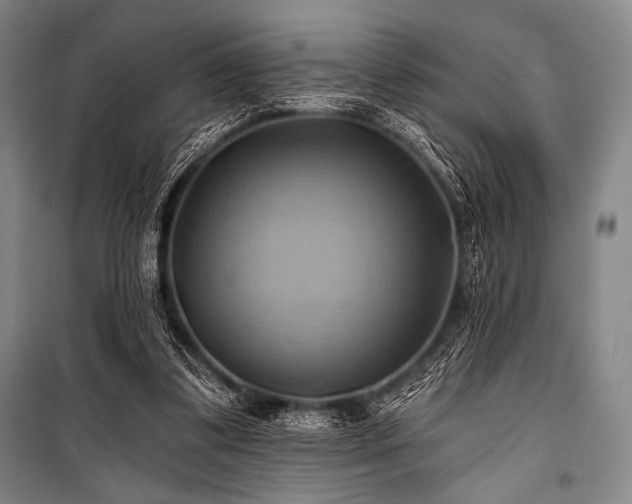X0000101160299200806271016