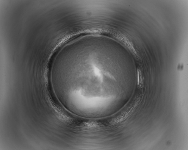 X0000101160300200806271016
