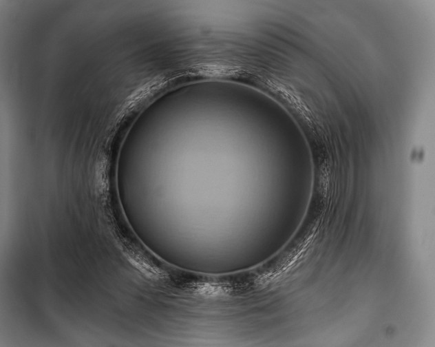 X0000101160303200806271016