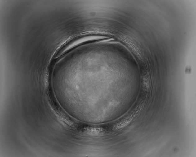 X0000101160304200806271016