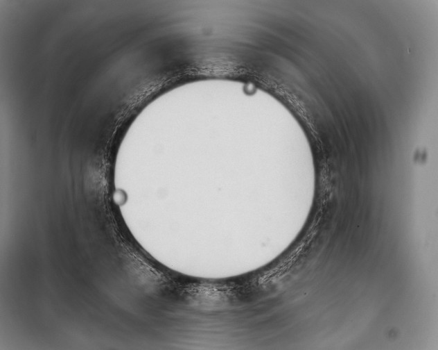 X0000101160305200806271016