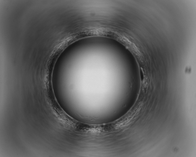 X0000101160306200806271016