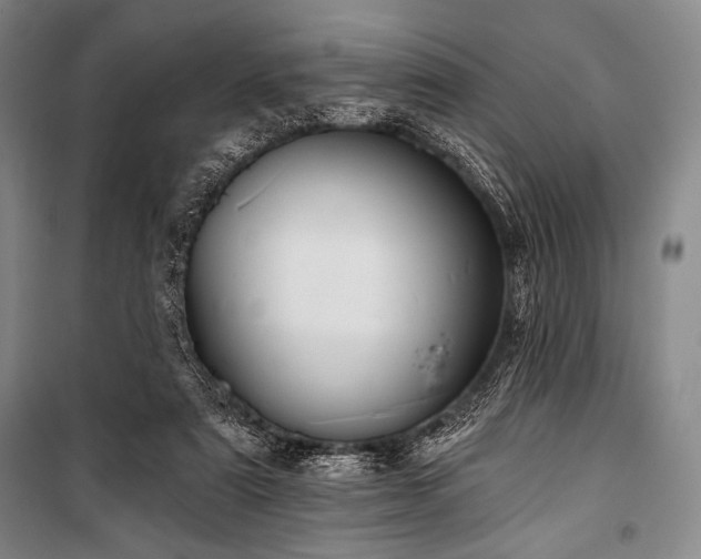 X0000101160307200806271016