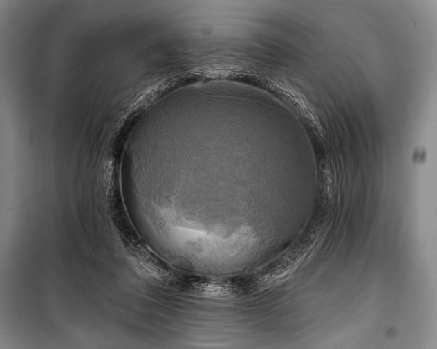 X0000101160308200806271016