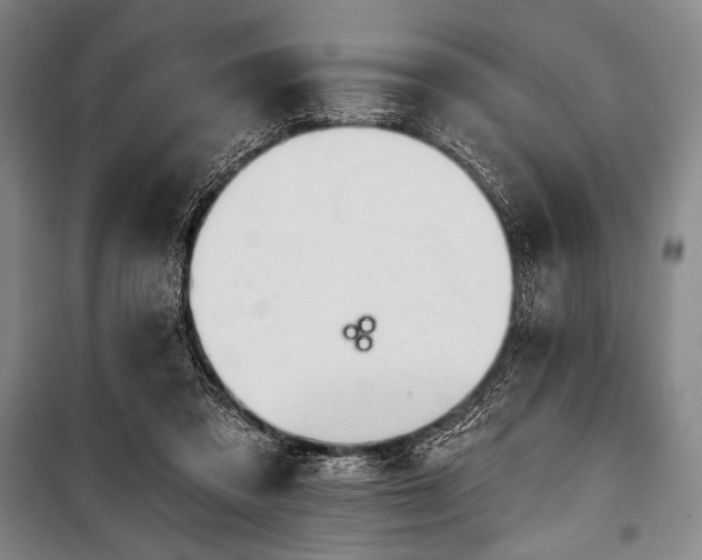 X0000101160309200806271016