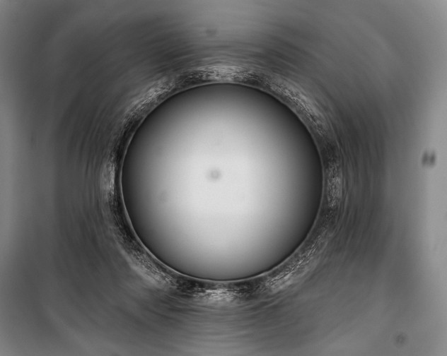 X0000101160310200806271015