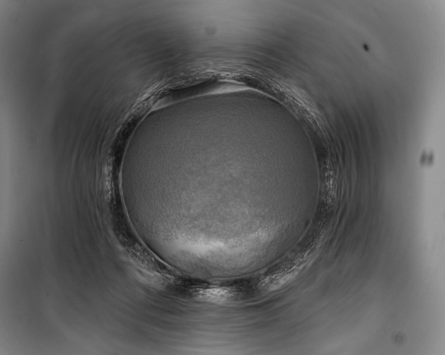 X0000101160312200806271015