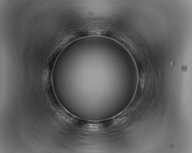 X0000101160314200806271015