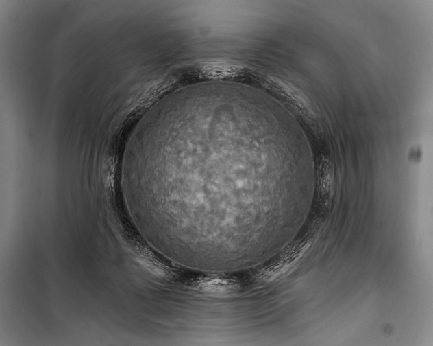X0000101160315200806271015
