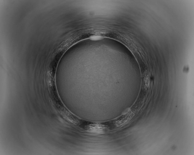 X0000101160316200806271015