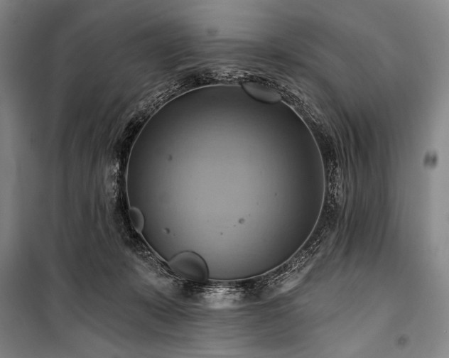 X0000101160319200806271015