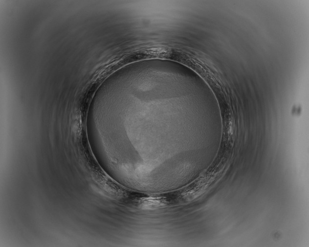 X0000101160320200806271015