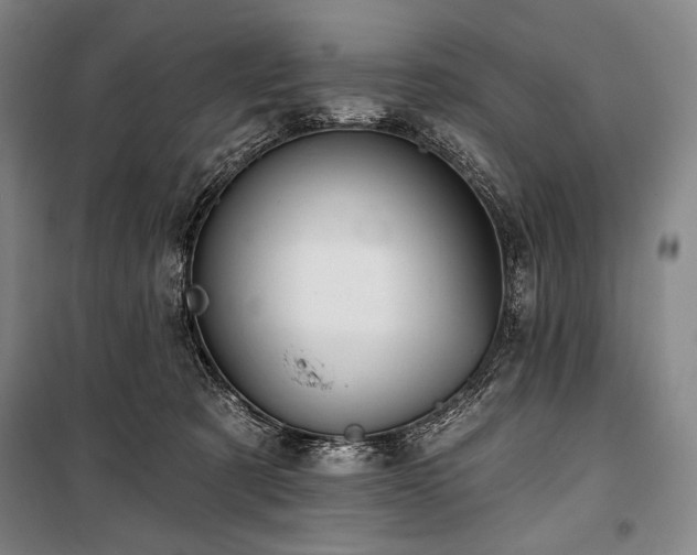 X0000101160321200806271015