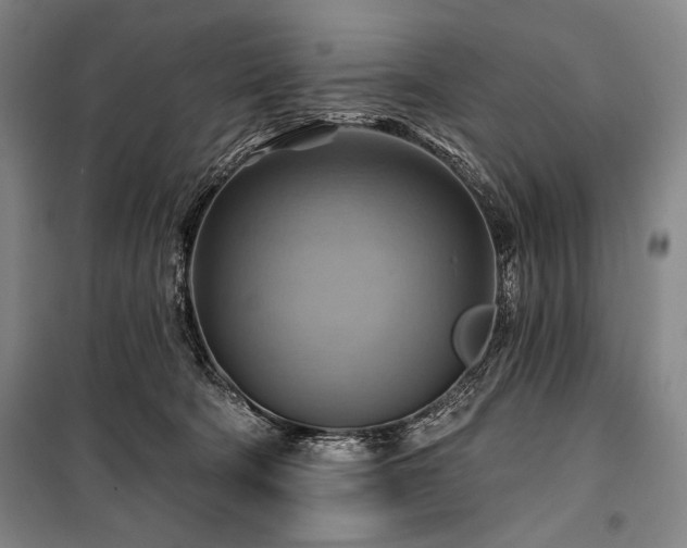 X0000101160322200806271015