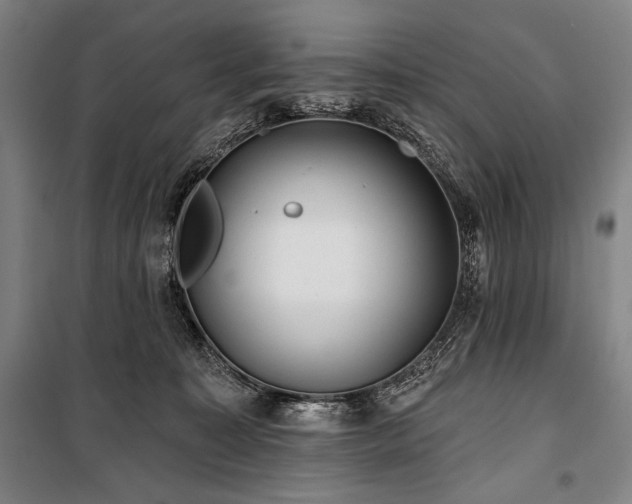 X0000101160323200806271015