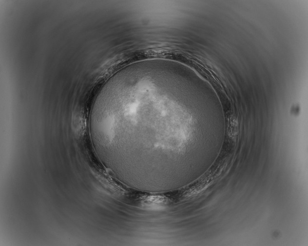 X0000101160324200806271015