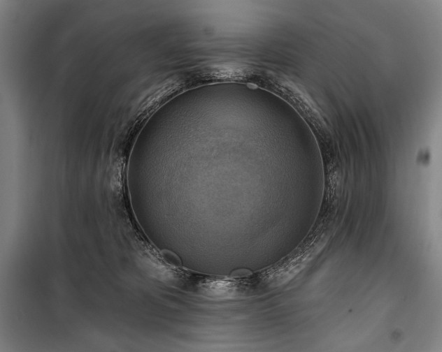 X0000101160325200806271015
