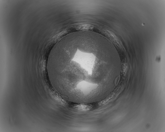X0000101160326200806271015
