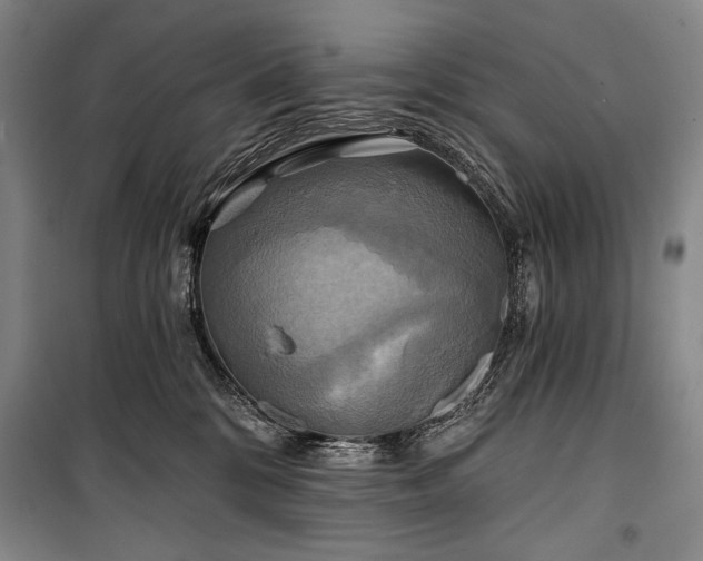 X0000101160328200806271015