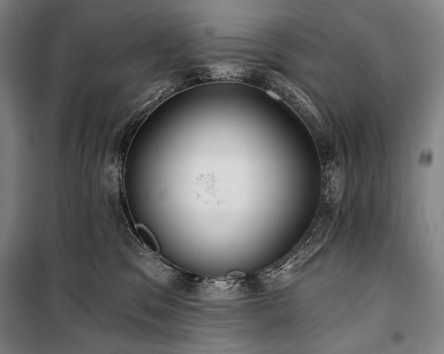 X0000101160329200806271015