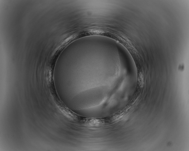 X0000101160330200806271015