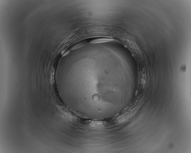 X0000101160332200806271015