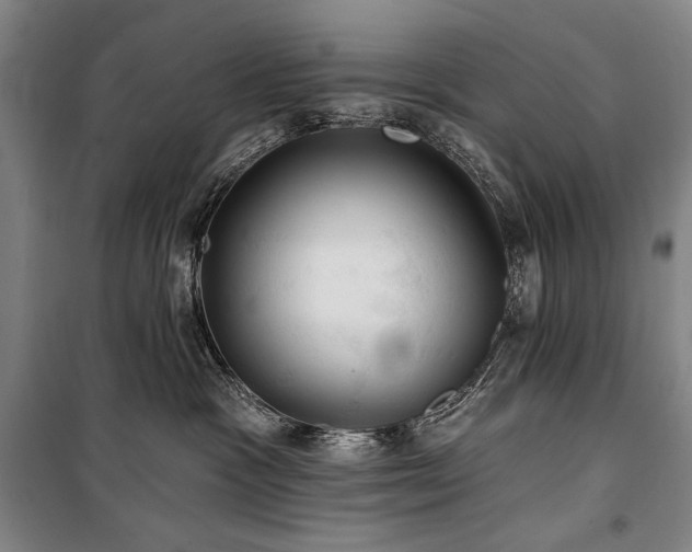 X0000101160333200806271015