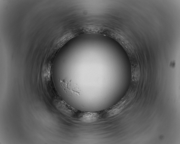 X0000101160334200806271015