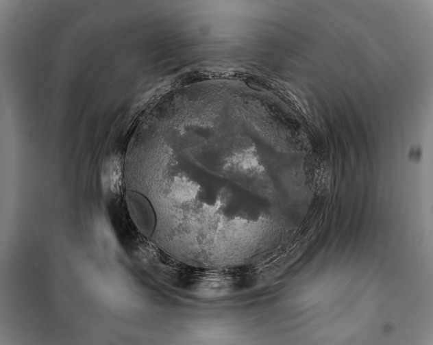 X0000101160335200806271015