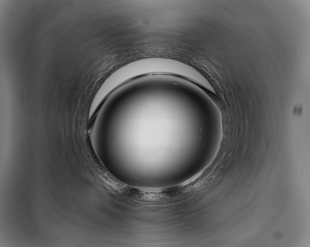 X0000101160336200806271015