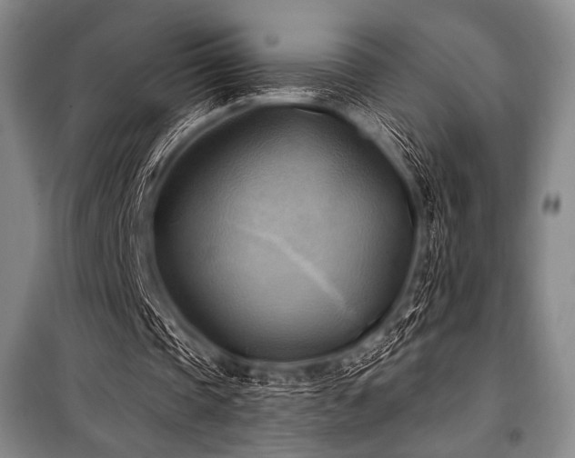 X0000101160337200806271014