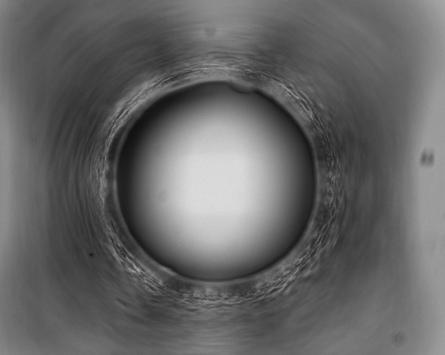 X0000101160338200806271014