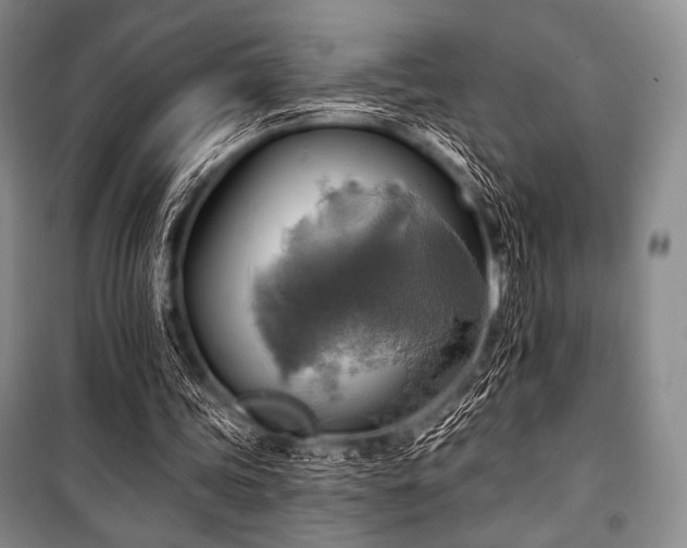 X0000101160339200806271014