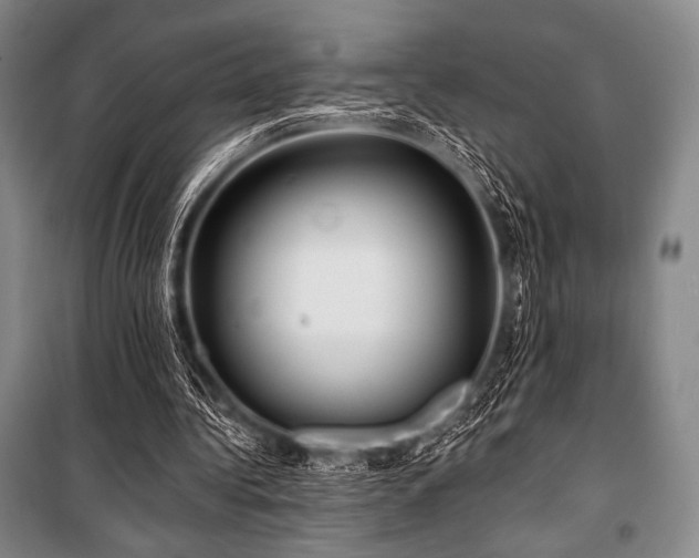 X0000101160340200806271014