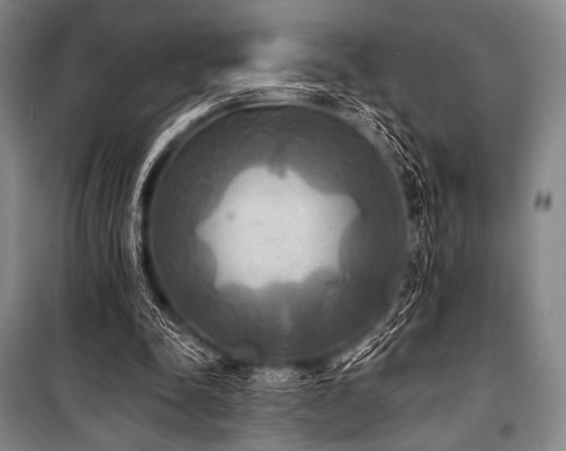 X0000101160342200806271014
