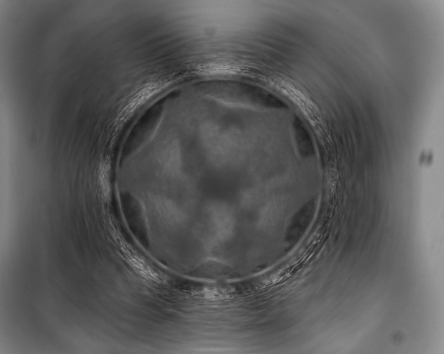 X0000101160345200806271015