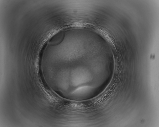 X0000101160346200806271015