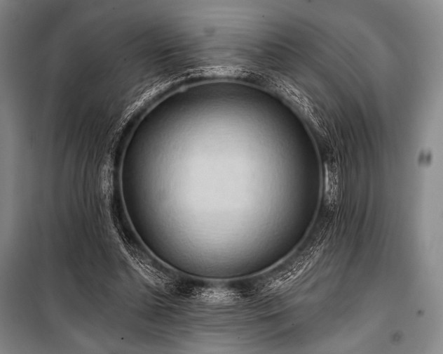X0000101160348200806271015