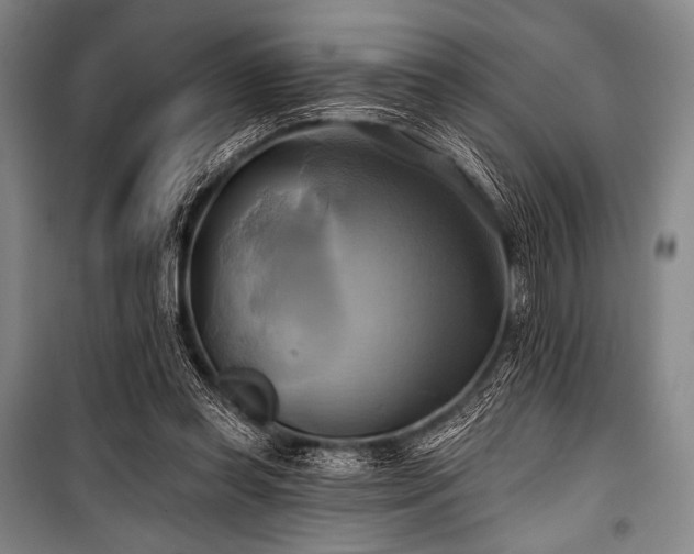 X0000101160349200806271015