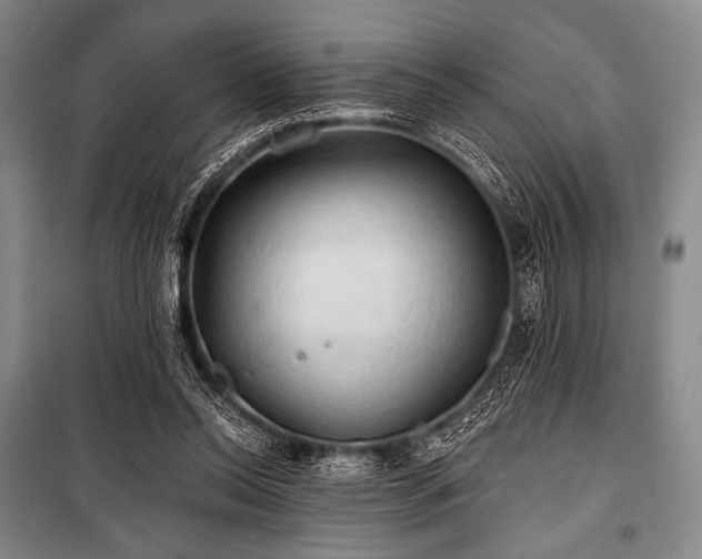 X0000101160350200806271015