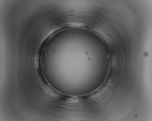 X0000101160351200806271015