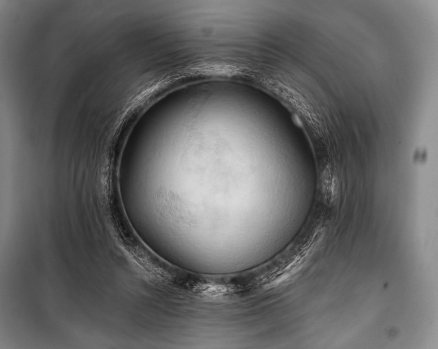 X0000101160352200806271015