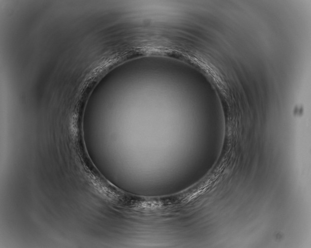 X0000101160353200806271015