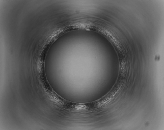 X0000101160355200806271015