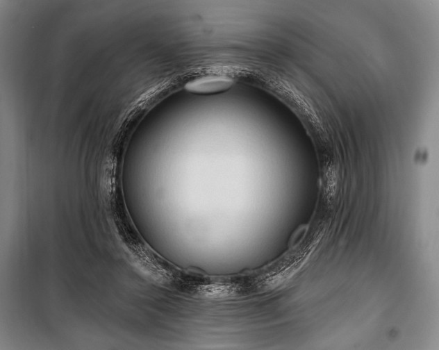 X0000101160356200806271015