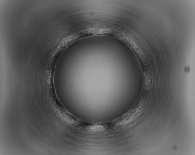 X0000101160357200806271015