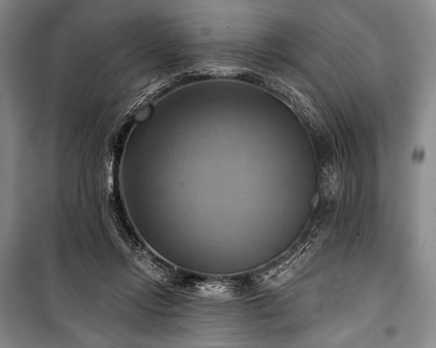 X0000101160358200806271015